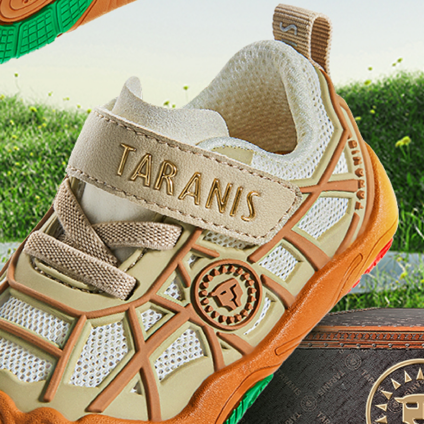 Steady Shoes Max for every step