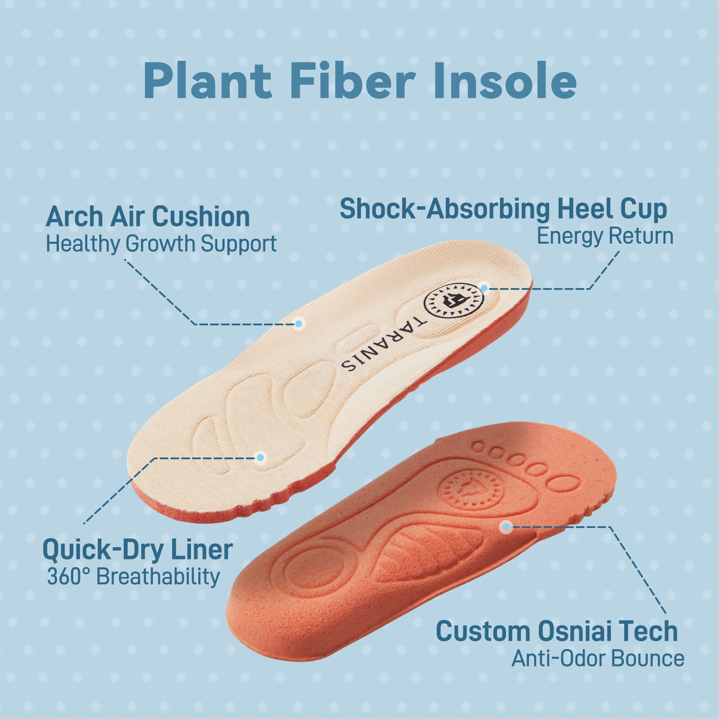 TARANIS ToeShield Collection Beary Classic