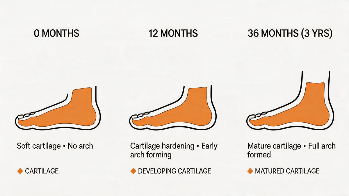 Do Kids Need Arch Support in First Walkers? Expert Guide