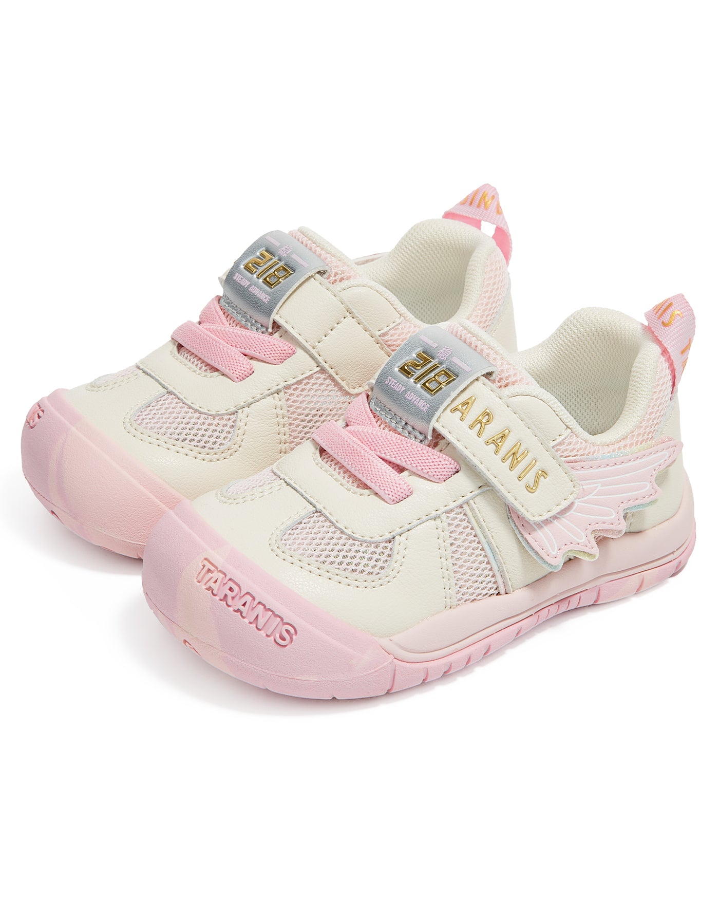 TARANIS Explorer Tiny Pulse