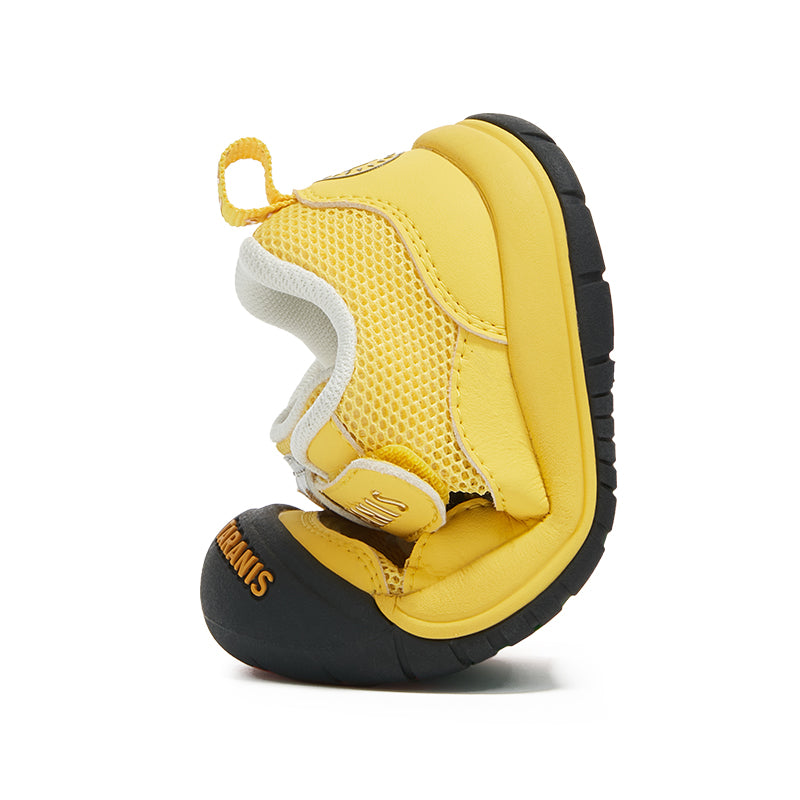 TARANIS Explorer Early Drifter