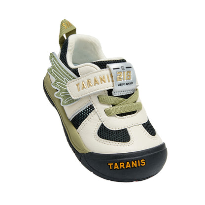 TARANIS Explorer Tiny Pulse