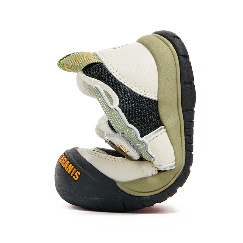 TARANIS Explorer Tiny Pulse