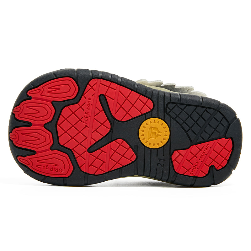 TARANIS Explorer Tiny Pulse