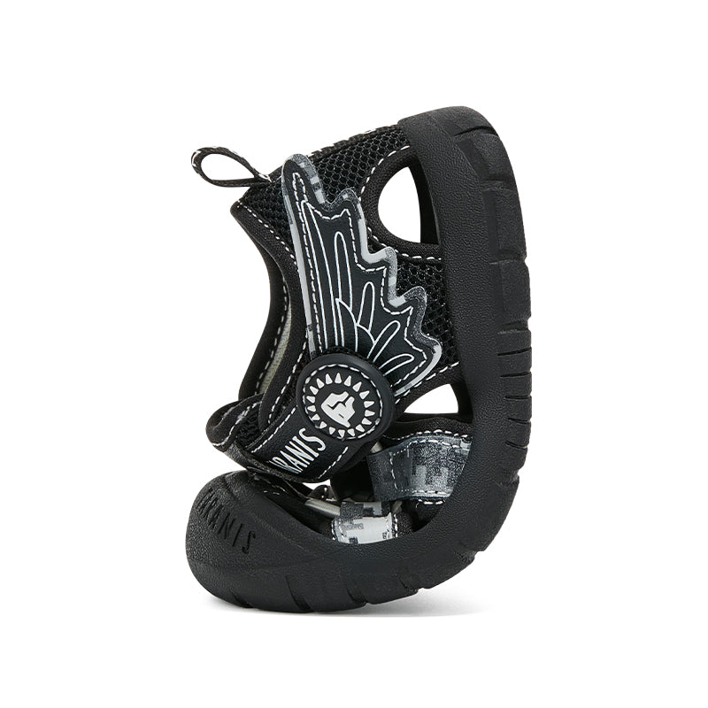 TARANIS Explorador Explorador Alado