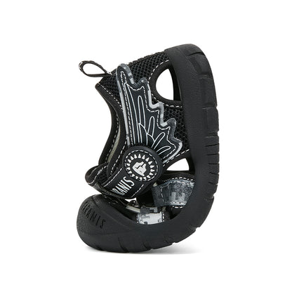 TARANIS Explorador Explorador Alado