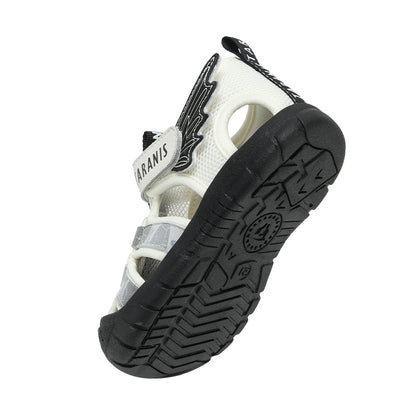 TARANIS Explorador Explorador Alado