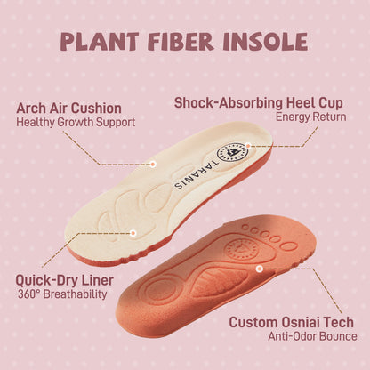 TARANIS Toddler Sneakers Explore Tots