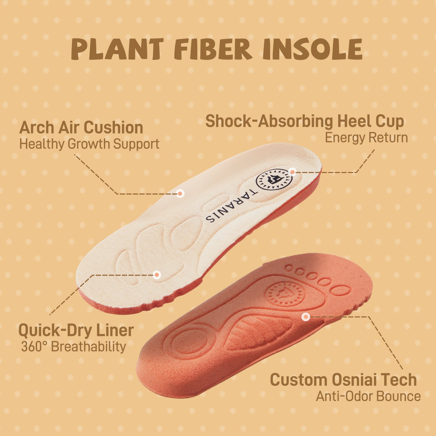 TARANIS Toddler Sneakers Explore Tots